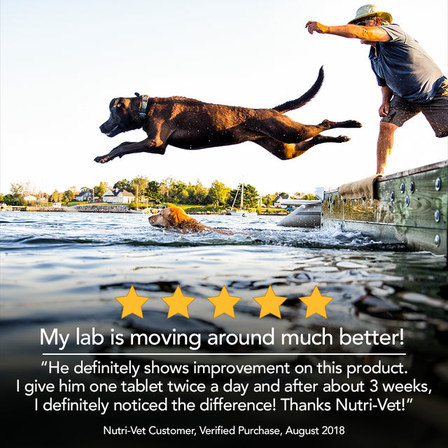 Nutri-Vet Hip & Joint Extra Strength Chewables for Dogs, 120 Count