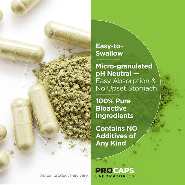 ANDREW LESSMAN NAC-500 N-Acetyl Cysteine 360 Capsules – Helps Combat Daily Onslaught of Damaging Free Radicals, Protects Brain, Heart, Lungs, Liver and Kidneys. Detoxifying Anti-Oxidant. No Additives