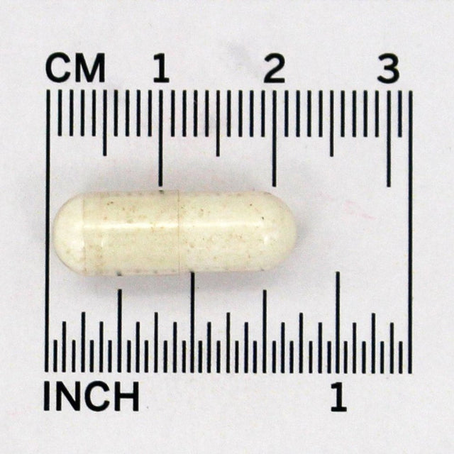 American Health - Enzyme Probiotic Complex Dual Action 2 Billion CFU - 90 Vegetarian Capsules