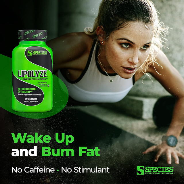 Lipolyze Stimulant Free Fat Burner, Appetite Suppressant with Green Tea Extract, African Mango & Alpha Lipoic Acid, Advanced Fat Loss Formula, Gluten Free Caps, Daytime, 90 Count