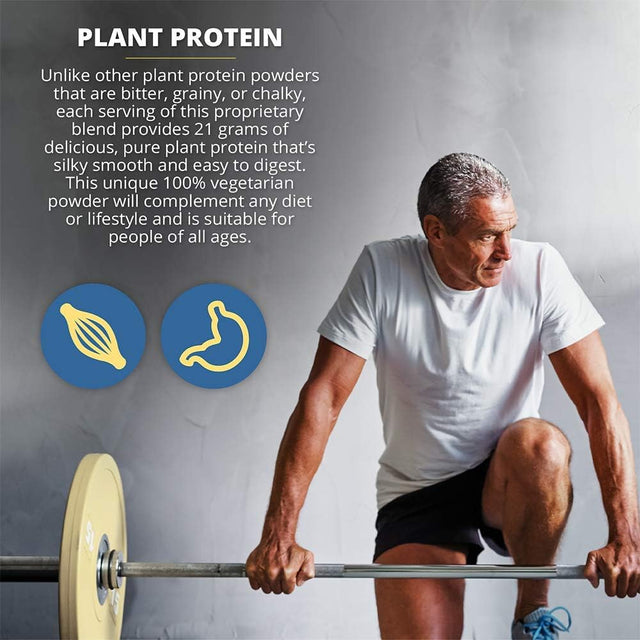 Vitamin Discount Center Plant Protein, 21G Protein per Serving, Vegan, Gluten Free, Vanilla 1.1 Lb