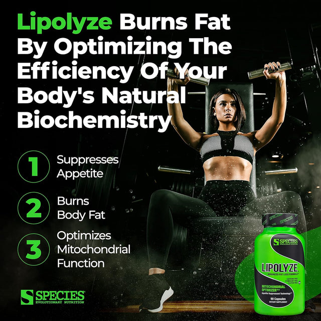 Lipolyze Stimulant Free Fat Burner, Appetite Suppressant with Green Tea Extract, African Mango & Alpha Lipoic Acid, Advanced Fat Loss Formula, Gluten Free Caps, Daytime, 90 Count