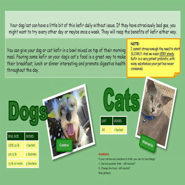 Petfir 30 Pack Kefir Supplement Pets Probiotic Dogs Cats Support Gut Health