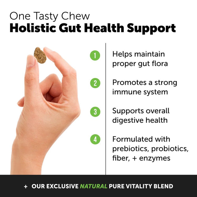 Pet Honesty Dog Digestive Probiotic Gut Health Soft Chews, Pumpkin, 90 Ct