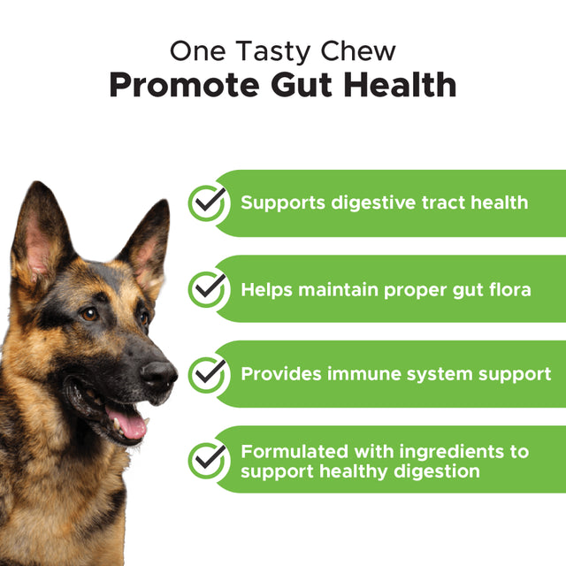 Pet Honesty Probiotics for Dogs - Gut Health for Dogs, Dogs Vitamins Gut Flora, Immunity Health, Dog Probiotics and Digestive Enzymes, Digestive Health Diarrhea & Bowel Support (Duck)