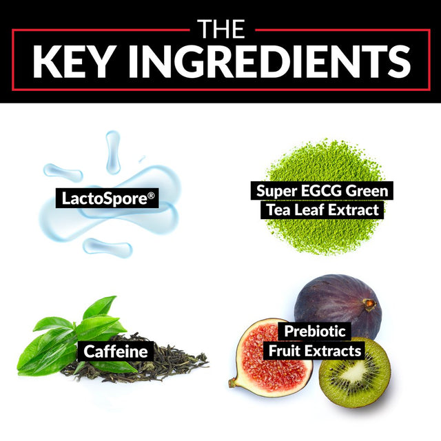 Force Factor Probioslim Probiotic Weight Loss Supplement for Women and Men, 30 Capsules