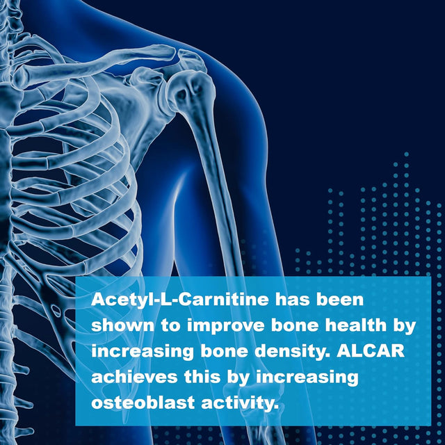 Lifelink'S ALC (Acetyl L-Carnitine) | 500 Mg X 90 Capsules | Cognitive Enhancer | Gluten Free & Non-Gmo | Made in the USA