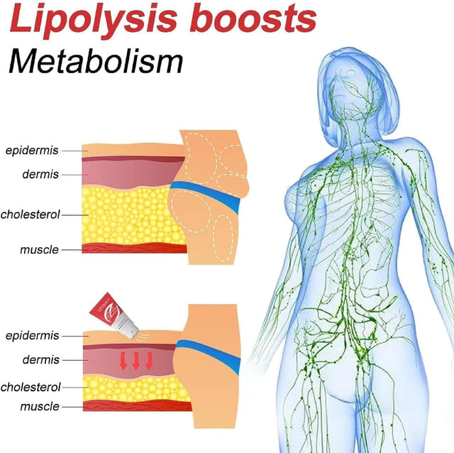 Magnetic Therapy Ginseng Warm Sculpting Roller, Fat Burning Cream, Hot Cream for Belly Fat Burner and Tightening, Lose Weight Fast for Women Belly Fat (3 PCS)