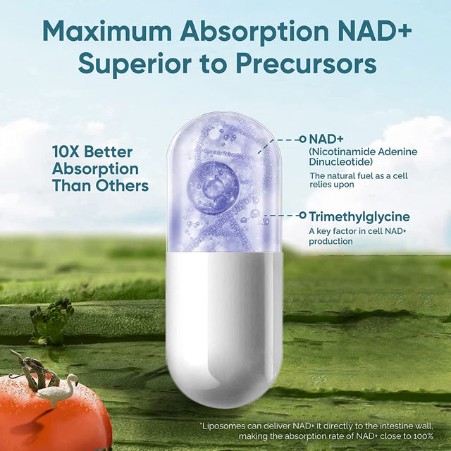 Liposomal NAD+ Supplement, True NAD+ 500Mg with TMG 250Mg per Serving for Max Absorption, Nicotinamide Riboside Alternative for Cellular Energy Metabolism & Healthy Aging - 240 Capsules