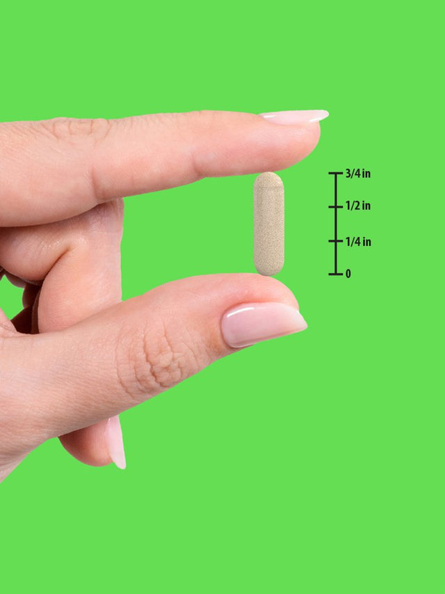 Probiotic 50 Billion CFU | 200Mg Prebiotics | 60 Capsules | Vegetarian, Non GMO & Gluten Free Supplement for Men and Women | Supports Digestive Balance | by Nature'S Truth