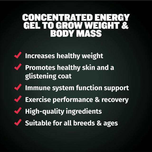 Weight Gainer Liquid for Puppies & Adult Dogs | 2-In-1 High Calorie Multivitamin Dog Supplements & Vitamins for Weight Gain with Omega 3 & Whey Protein for All Breeds & Ages - 16 Oz Bag