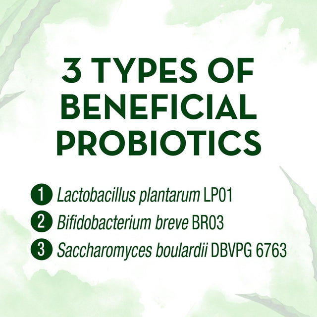 Align Whole Food Multi-Strain Probiotic Supplement Capsules, 28 Ct