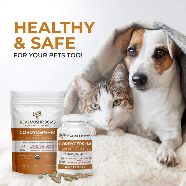 Real Mushrooms Cordycep-M, Peak Performance, 120 Capsules