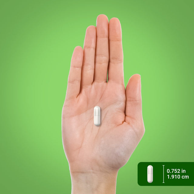 Probiotic Acidophilus 14 Strains 3 Billion Organisms | 120 Capsules | by Piping Rock