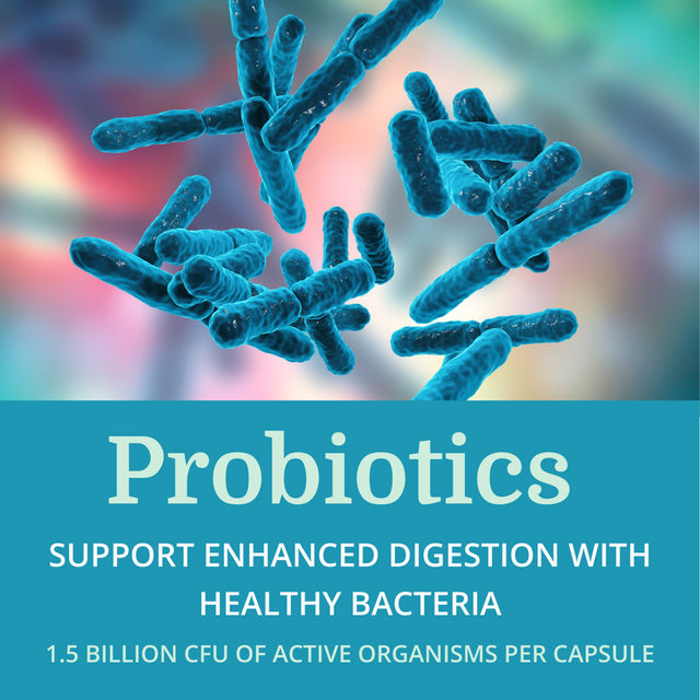 Alkadophilus — Morter Healthsystem Best Process Alkaline — No Refrigeration Probiotic & Prebiotic Digestive Supplement — 1.5 Billion CFU of Good Bacteria & Beetroot — Boosts Digestion, Mood & Vitality