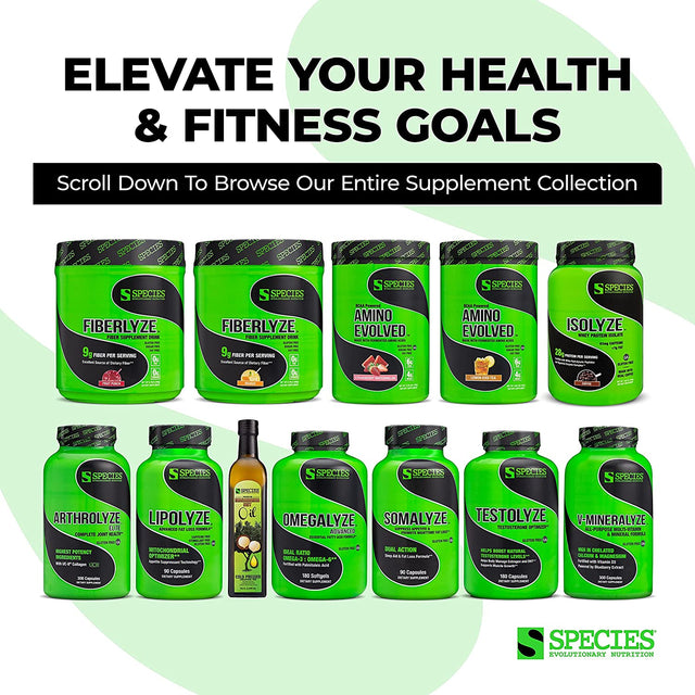 Lipolyze Stimulant Free Fat Burner, Appetite Suppressant with Green Tea Extract, African Mango & Alpha Lipoic Acid, Advanced Fat Loss Formula, Gluten Free Caps, Daytime, 90 Count