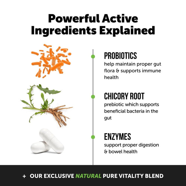 Pet Honesty Dog Digestive Probiotic Gut Health Soft Chews, Pumpkin, 90 Ct