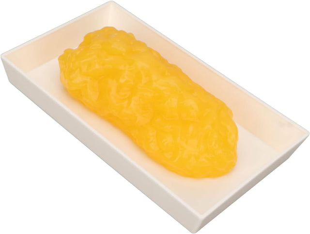 Human Body Fat Replica, Human Body Fat Model Fat Anatomical Fat Model for Keep Fit, Fatty Tissue Demonstration Model for Nutritionist Science Course Student