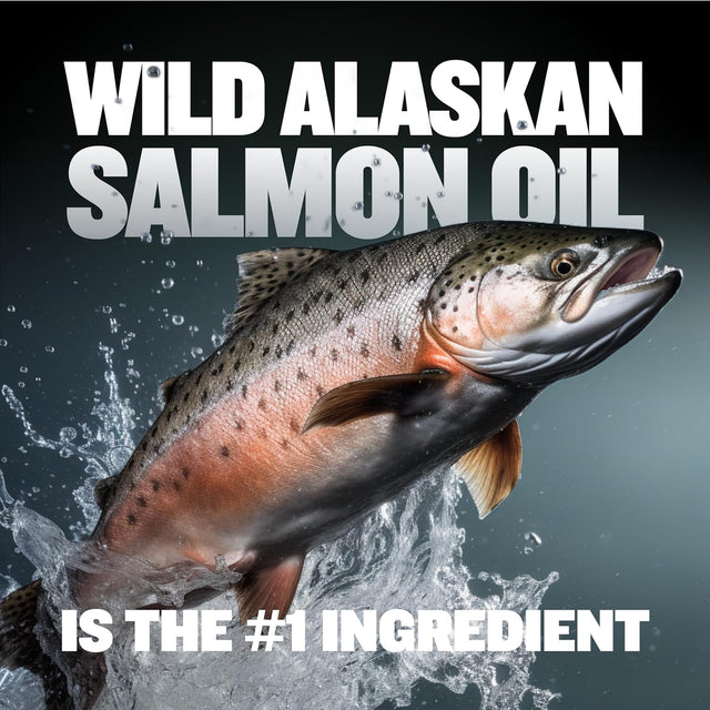 Weight Gainer Liquid for Puppies & Adult Dogs | 2-In-1 High Calorie Multivitamin Dog Supplements & Vitamins for Weight Gain with Omega 3 & Whey Protein for All Breeds & Ages - 16 Oz Bag