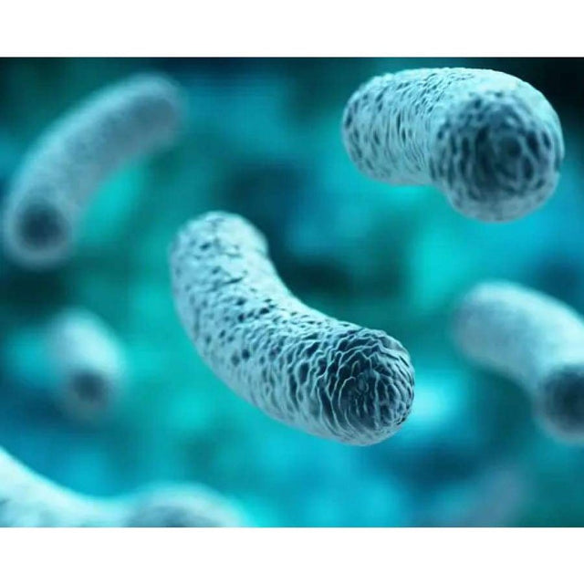 Ultra GI Cleanse Capsules by Bariatricpal - Supports Colon Health and Elimination