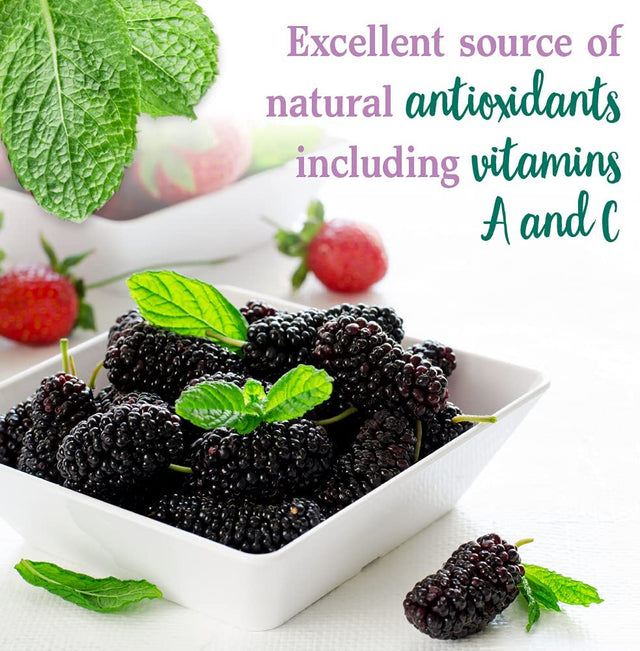 Garden of Life Perfect Food Berry Super Green Fruit & Veggie Formula - 30 Servings, 49 Superfoods Greens, Sprouts, Fruits, Veggies, Probiotics, Spirulina, Vegetarian Juice Superfood Powder Supplement