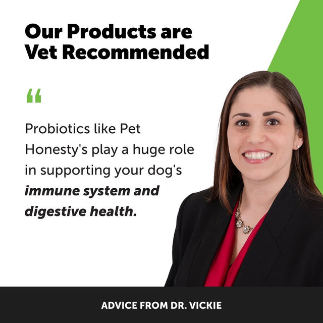 Pet Honesty Dog Digestive Probiotic Gut Health Soft Chews, Pumpkin, 90 Ct