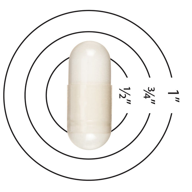 Phillips' Colon Health Daily Probiotic Supplement Capsules, 15 Count