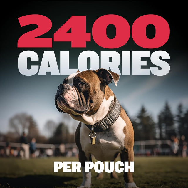 Weight Gainer Liquid for Puppies & Adult Dogs | 2-In-1 High Calorie Multivitamin Dog Supplements & Vitamins for Weight Gain with Omega 3 & Whey Protein for All Breeds & Ages - 16 Oz Bag