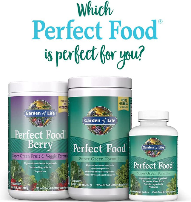 Garden of Life Perfect Food Berry Super Green Fruit & Veggie Formula - 30 Servings, 49 Superfoods Greens, Sprouts, Fruits, Veggies, Probiotics, Spirulina, Vegetarian Juice Superfood Powder Supplement