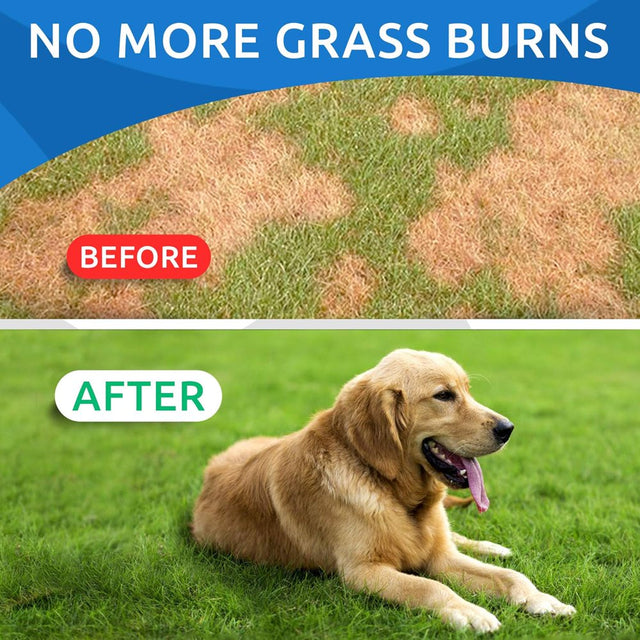 All-Natural Grass Treatment for Dog Urine - Grass Saver for Dogs - Pee Lawn Repair Chews W Probiotics - Dog Urine Neutralizer Solution for Grass Burn Spots - Made in USA - 120 Treats