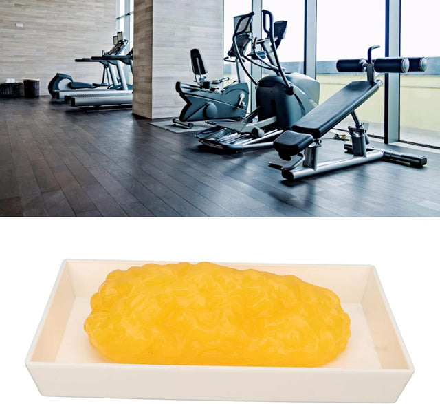Human Body Fat Replica, Human Body Fat Model Fat Anatomical Fat Model for Keep Fit, Fatty Tissue Demonstration Model for Nutritionist Science Course Student