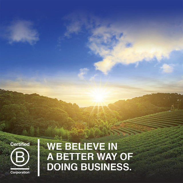 Garden of Life Whole Food Probiotic Supplement - Primal Defense Ultra Ultimate Probiotic Dietary Supplement for Digestive and Gut Health, 180 Vegetarian Capsules 180 Count (Pack of 1)