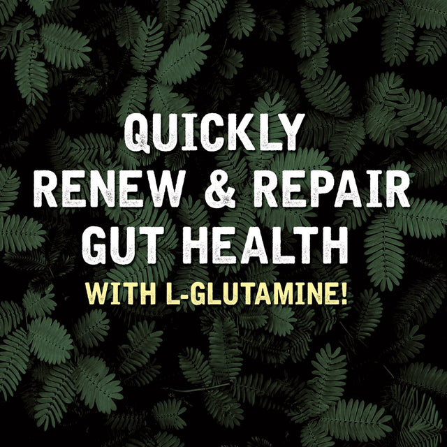 Natural Rhythm Digestive Calm Probiotic (Plus L-Glutamine) 25 Billion CFU and 13 Strains. - 60 Vegetarian Capsules.