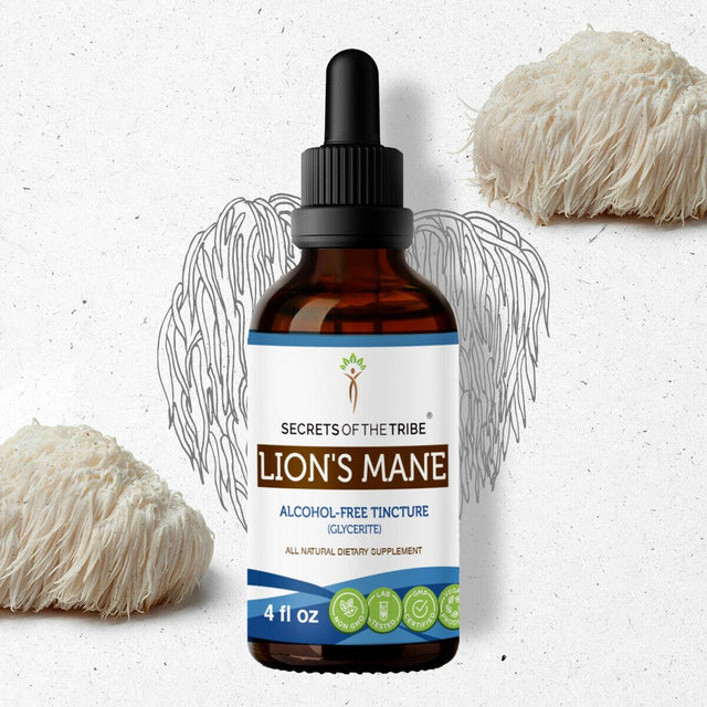 Lion'S Mane Tincture Alcohol-Free Extract, Organic Lion'S Mane (Hericium Erinaceus) Dried Mushroom 4 Oz