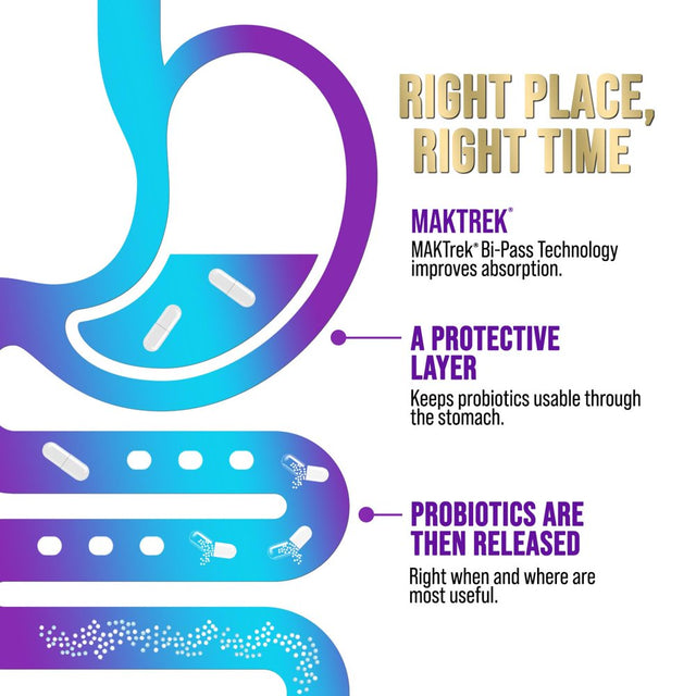 Probiotics for Digestive Health - 80 Billion CFU Guaranteed with Strains for Women'S Vaginal & Men'S Urinary Health & Daily Gut Immune Support, Nature'S Acidophilus Probiotic Supplement - 60 Capsules