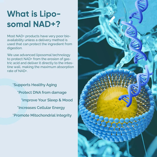 Liposomal NAD+ Supplement, True NAD+ 500Mg with TMG 250Mg per Serving for Max Absorption, Nicotinamide Riboside Alternative for Cellular Energy Metabolism & Healthy Aging - 240 Capsules