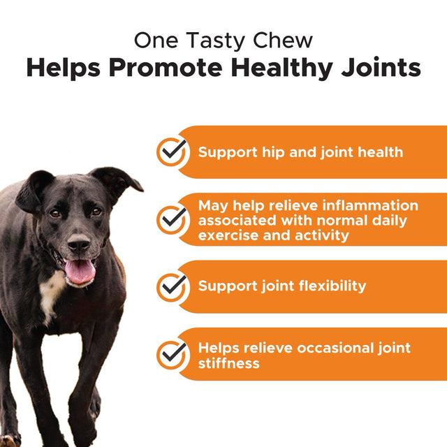 Pet Honesty Dog Hip + Joint Health Turmeric Chews, Pumpkin Coconut, 90 Ct