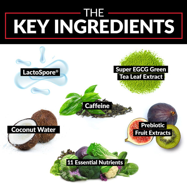 Force Factor Probioslim Weight Loss Essentials Probiotic, 120 Capsules