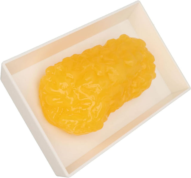 Human Body Fat Replica, Human Body Fat Model Fat Anatomical Fat Model for Keep Fit, Fatty Tissue Demonstration Model for Nutritionist Science Course Student