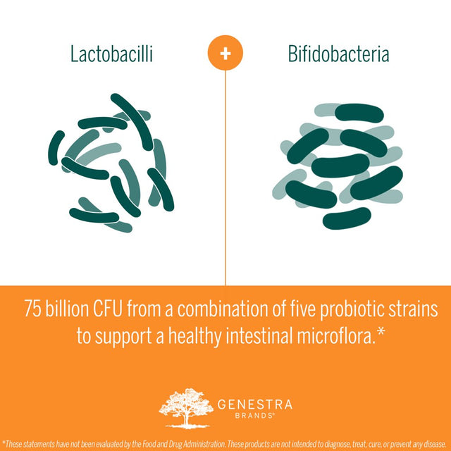 Genestra Brands HMF Replete | Probiotic Formula to Support Healthy Gut Flora | 7 Sachets