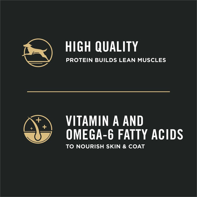 Purina Pro Plan High Protein Puppy Food DHA Lamb & Rice Formula, 6 Lb. Bag