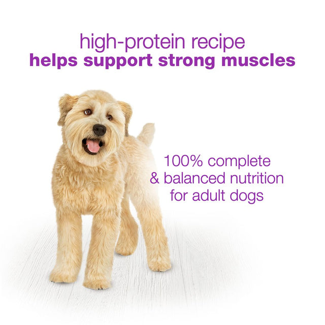 Purina Beneful Wet Dog Food Chopped Blends High Protein Variety Pack, Real Lamb, Beef & Chicken, 10 Oz Tubs (12 Pack)