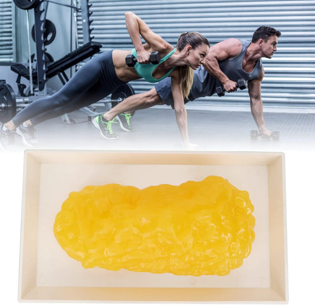 Human Body Fat Replica, Human Body Fat Model Fat Anatomical Fat Model for Keep Fit, Fatty Tissue Demonstration Model for Nutritionist Science Course Student