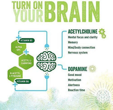 Brain Juice - Pomegranate Powder Original