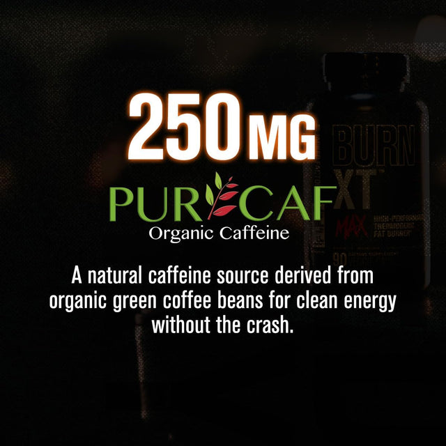 Jacked Factory Burn-Xt Max - High-Performance Thermogenic Fat Burner & Appetite Suppressant for Men & Women W/Purcaf Organic Caffeine, Mitoburn, Green Tea, Acetyl L Carnitine & More - 90 Capsules