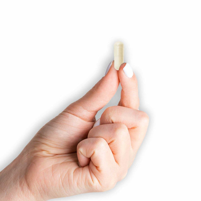 Mason Natural Probiotic with Prebiotic, 40 Veggie Caps