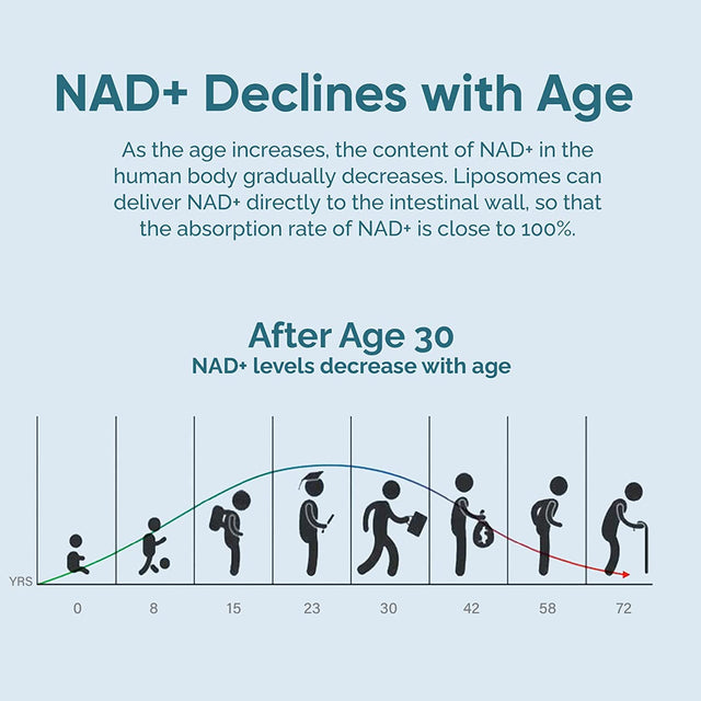 Liposomal NAD+ Supplement, True NAD+ 500Mg with TMG 250Mg per Serving for Max Absorption, Nicotinamide Riboside Alternative for Cellular Energy Metabolism & Healthy Aging - 240 Capsules