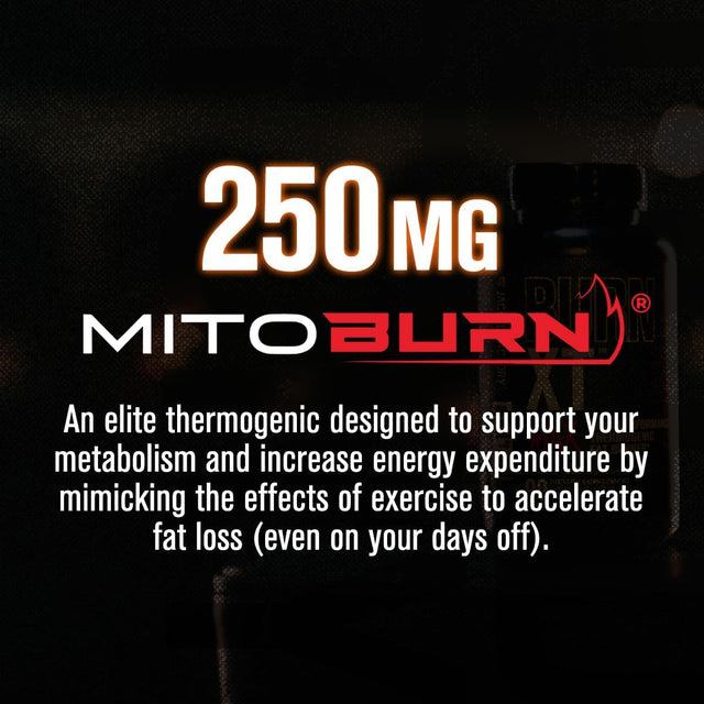 Jacked Factory Burn-Xt Max - High-Performance Thermogenic Fat Burner & Appetite Suppressant for Men & Women W/Purcaf Organic Caffeine, Mitoburn, Green Tea, Acetyl L Carnitine & More - 90 Capsules