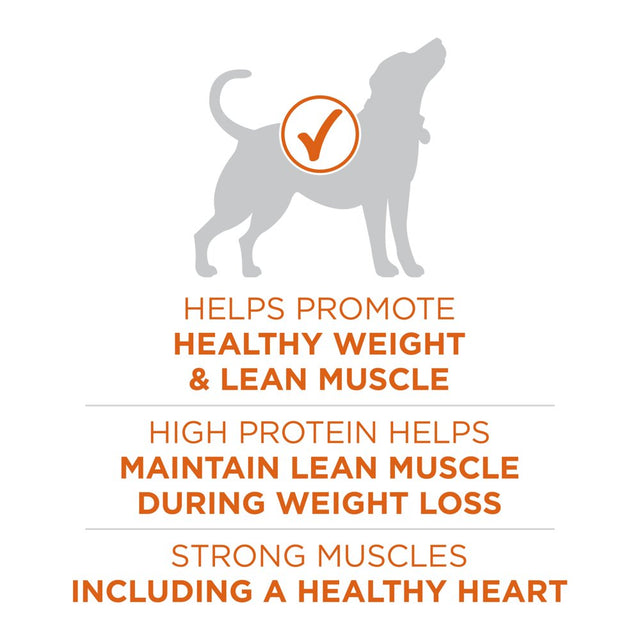 Purina One +Plus Dry Dog Food High Protein Healthy Weight, Real Turkey 16.5 Lb Bag