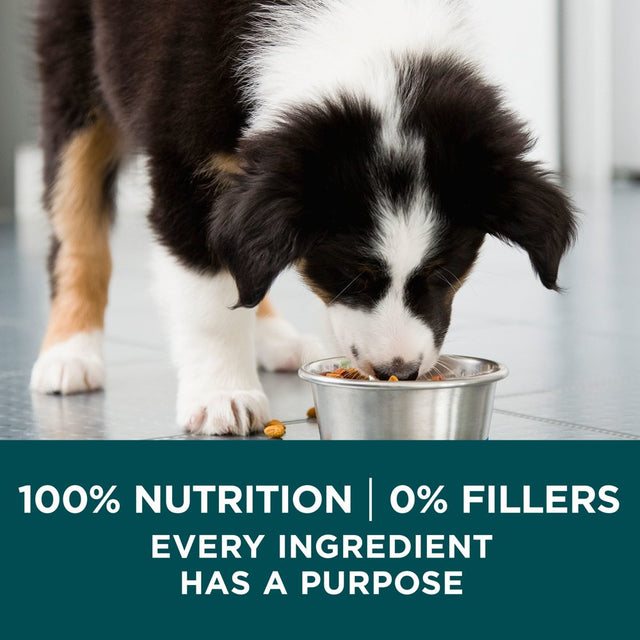Purina One +Plus Puppy Dry Dog Food for Large Dogs High Protein, Real Chicken, 16.5 Lb Bag